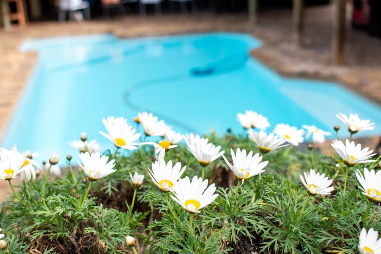 Balmoral Lodge Bellville Ngoại thất bức ảnh
